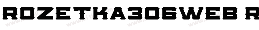 Rozetka306web Regula字体转换